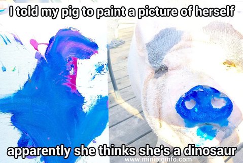 mini pig snout art