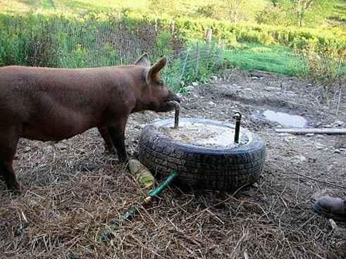 Balacoo Stainless Steel Automatic Pig Water Bowl Pig Water Feeder Portable Pig Small Livestock Water Fountain Feeding Supply for Pig Horse Cattle Goat Sheep Dog 