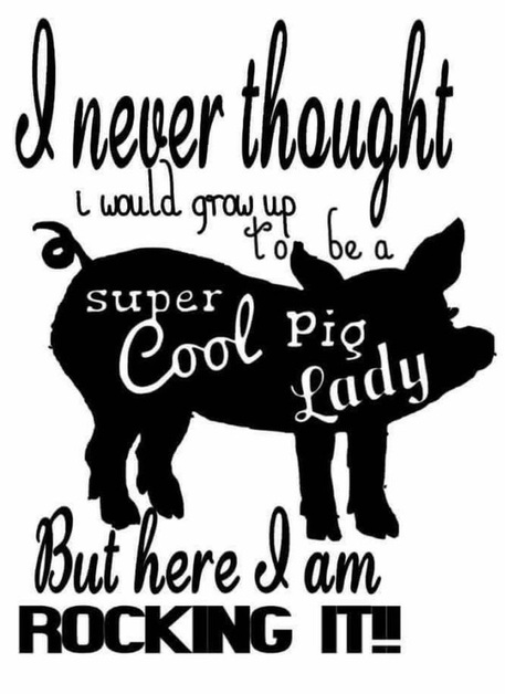 cool pig family