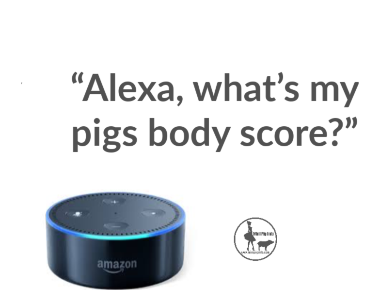 Alexa, is my pig fat?