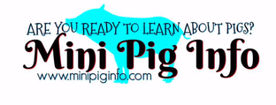 Mini Pig Info Group