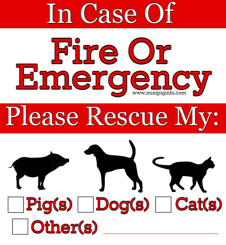 emergency sticker for pigs