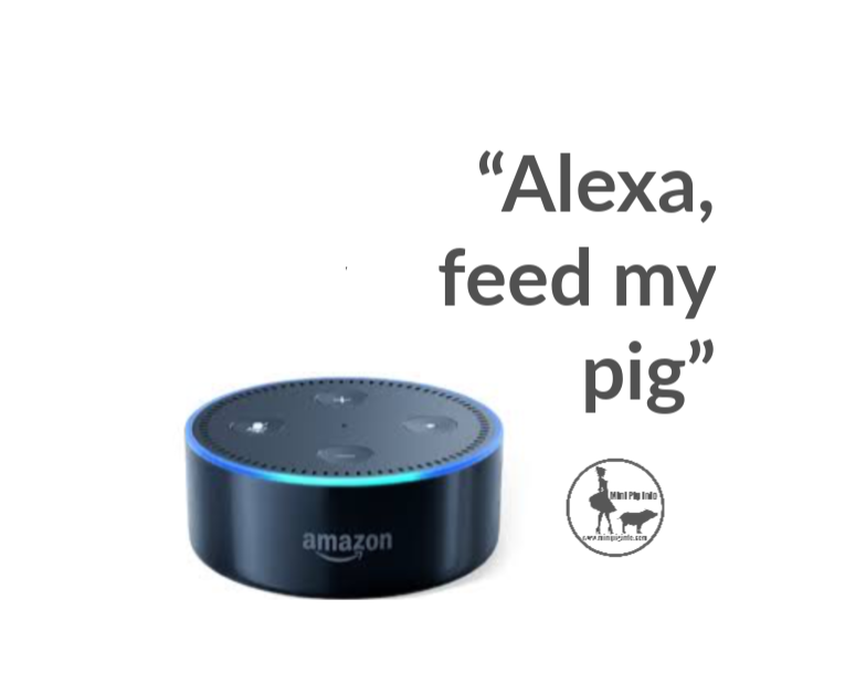 Alexa, feed my pig