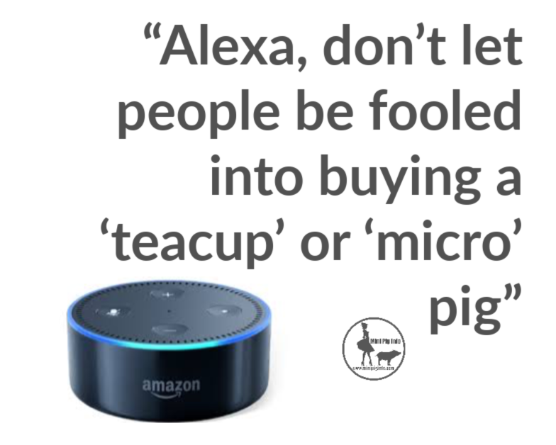 Alexa, tell people to look at minipiginfo.com before buying a pig