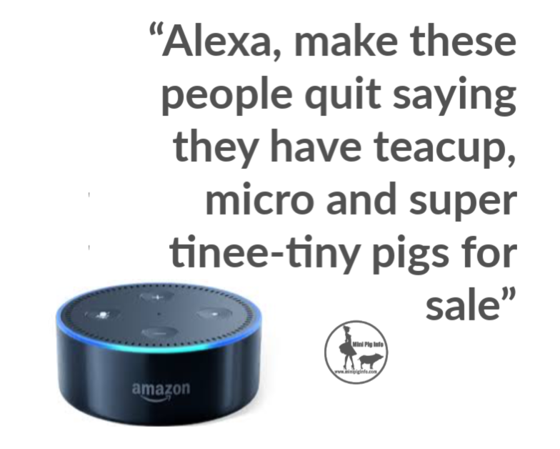 Alexa, stop these people from lying and committing fraud!