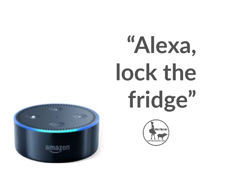 Alexa, OMG, I forgot to lock the fridge and I have a pet pig! 