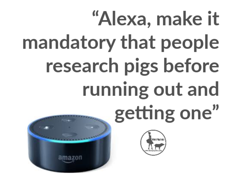 Alexa, please don't let idiots get pigs as pets