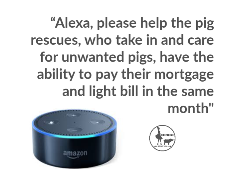 Alexa, please help pig rescues