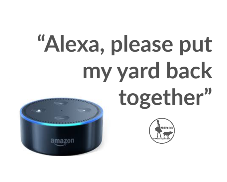 Alexa, I have a pig, so I need lots of help